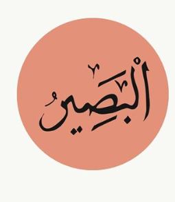 AL-BASIR
